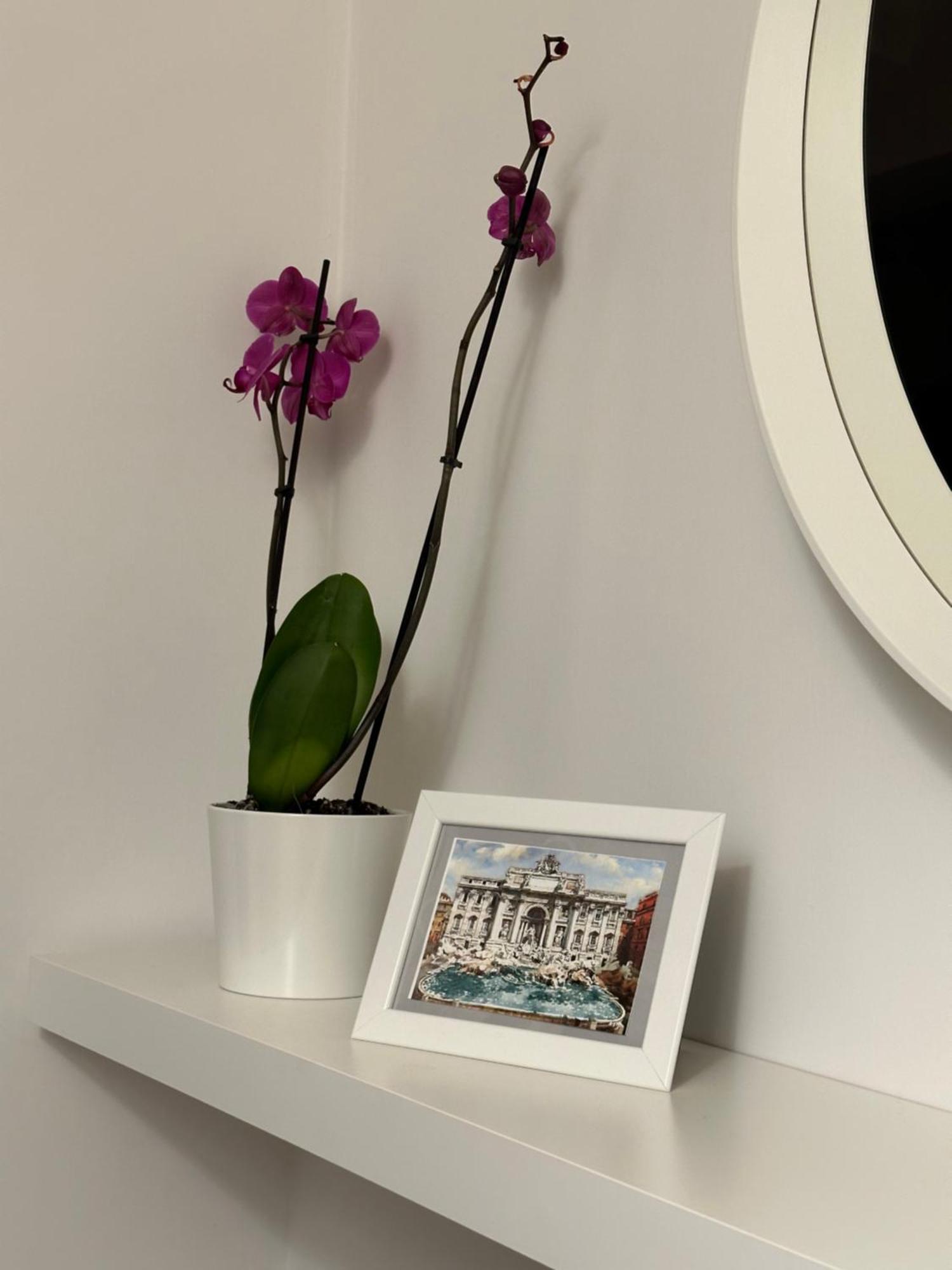 Trithome Suite Boutique Barberini Roma Exterior foto